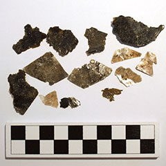 Colour photograph of several pieces of minerals, very thin and sometimes translucent. Some pieces are black, while others are almost white. They all have different shapes and sizes.