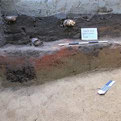 Colour photograph showing the remains of a wooden post, a pit, and heated soil.