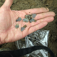Close up colour photograph of a hand holding chert stone fragments.