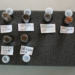 Colour photograph of eight soil sample bottles of different colors.
