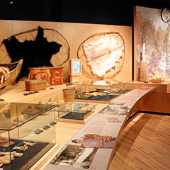Photographie couleur d'une exposition où sont présentés plusieurs objets appartenant à la culture matérielle des Wôbanaki. Deux fourrures, l'une blanche, l'autre noire, sont visibles.