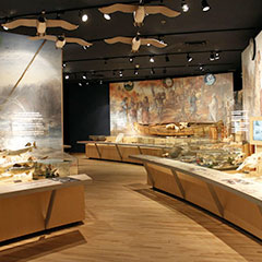 Colour photograph of an exhibition where you can see, among other things, a canoe, fishes, skulls and baskets.