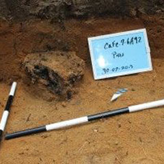 Colour photograph of a patch of soil on which we see a blackened section.